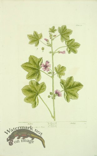 (image for) Blackwell E 45