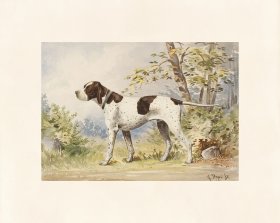 Pope Dog 06 Imported Champion Pointer
