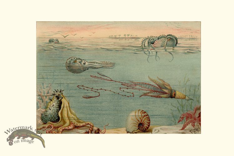 (image for) Underwater 28