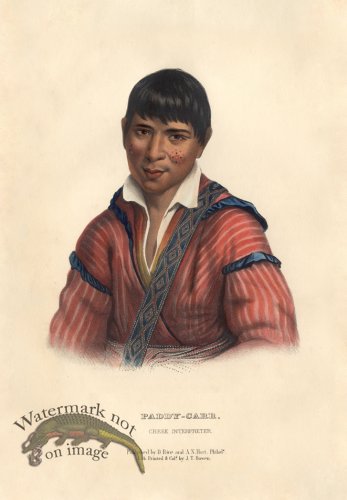 (image for) Paddy-Carr