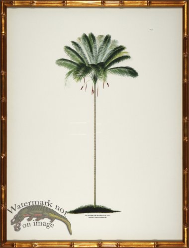 (image for) Palm trees in Gold Bamboo 03