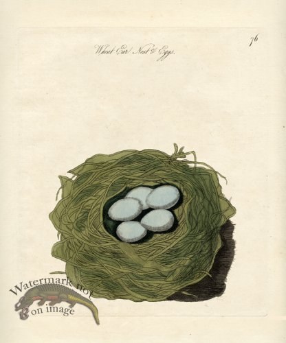 (image for) Wheat Ear Nest Eggs