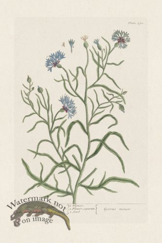 (image for) BEE 270 Small Blue -Bottle