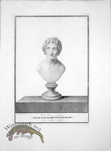 (image for) Ercolano Bust 08