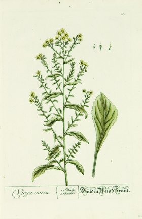 Blackwell German 262