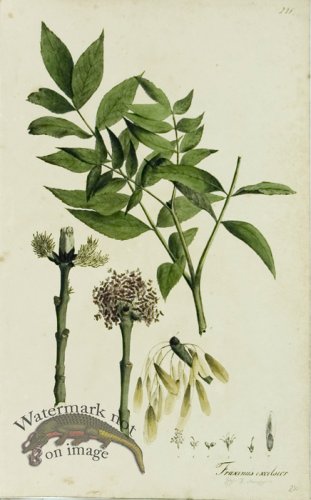 (image for) 1828_Gmp 069