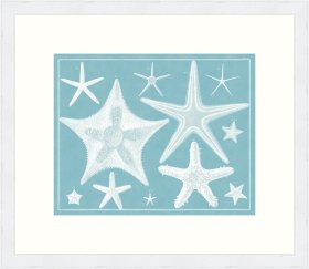 (image for) Seba B2 007 Starfish WFBP