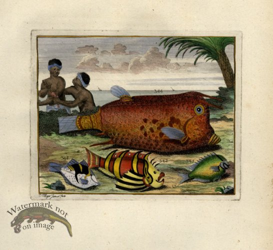 (image for) Valentijn 06