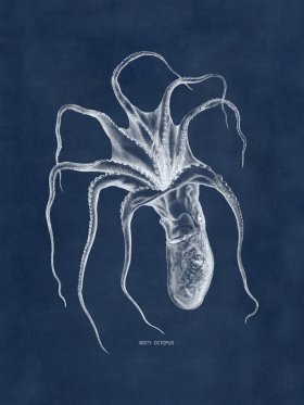 Octopus Blue 46