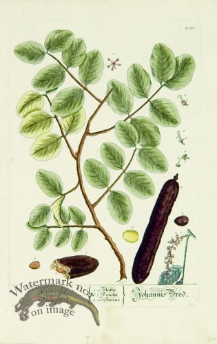 (image for) Blackwell German 026