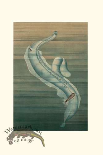 (image for) Underwater 15