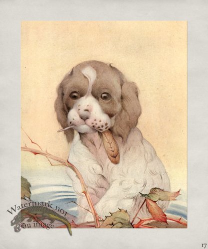 (image for) Puppy Dog 17