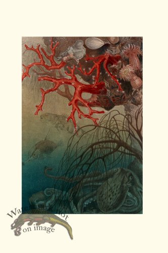 (image for) Underwater 01