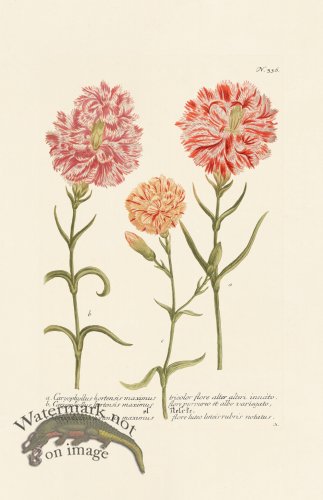 (image for) Weinmann PL 336