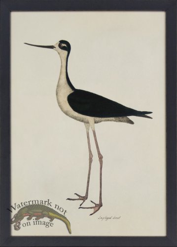 (image for) Tribute BFs 07