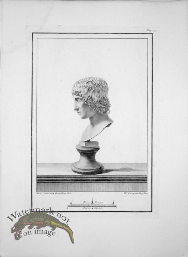 Ercolano Bust 03