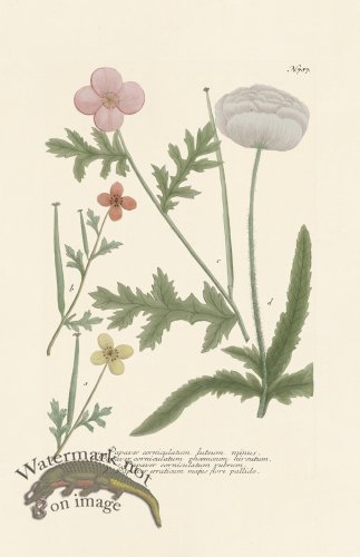 (image for) Weinmann PL 787