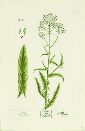 Blackwell German 126