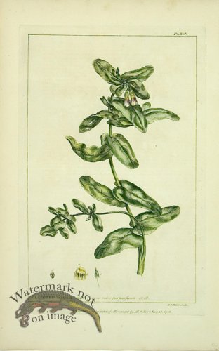 (image for) Philip Miller 059