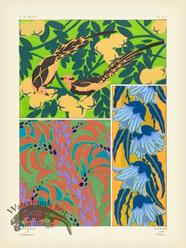 (image for) Seguy Bouquets 07