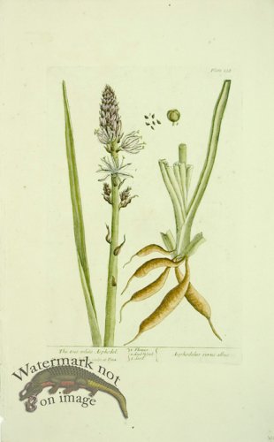 (image for) Blackwell E 39