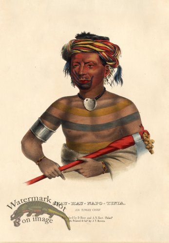 (image for) Shau-Hau-Napo-Tinia