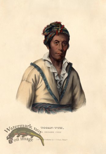 (image for) Tooan-Tuh