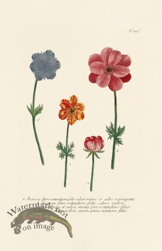 (image for) Weinmann PL 126