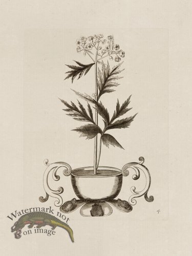 (image for) Potted Plant 04