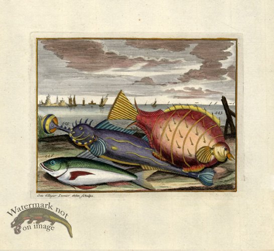 (image for) Valentijn 07