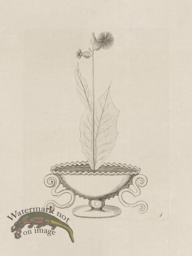 (image for) Potted Plant 06