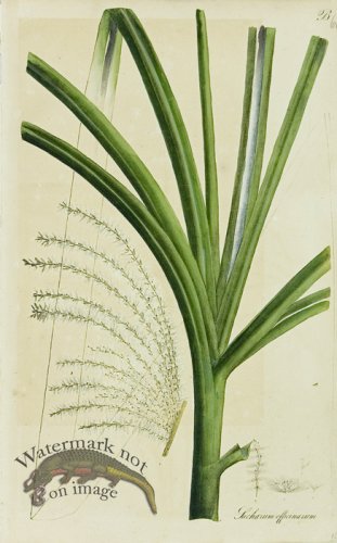 (image for) 1828_Gmp 050