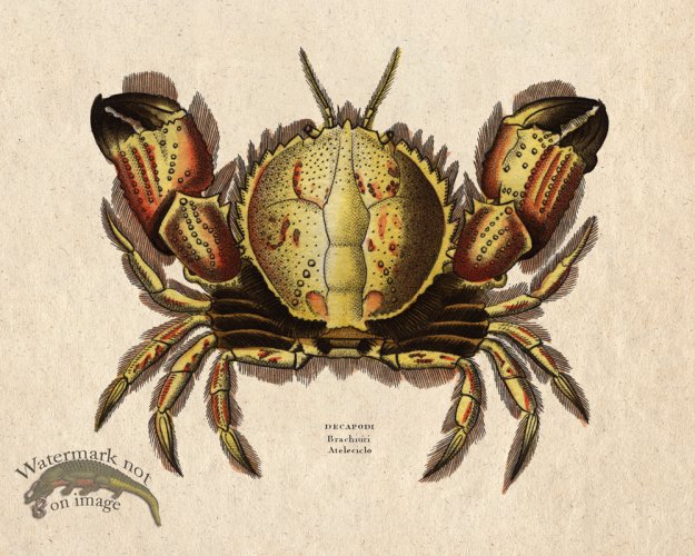 (image for) Sand_Soldier_09