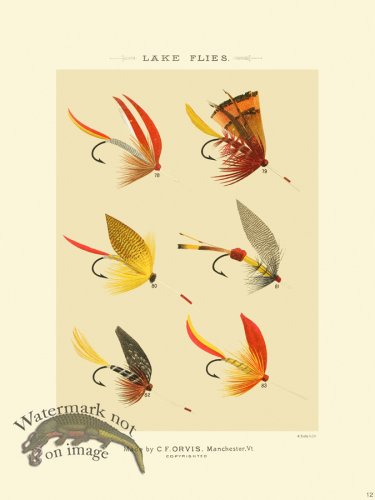 (image for) Favorite Flies 12 Lake