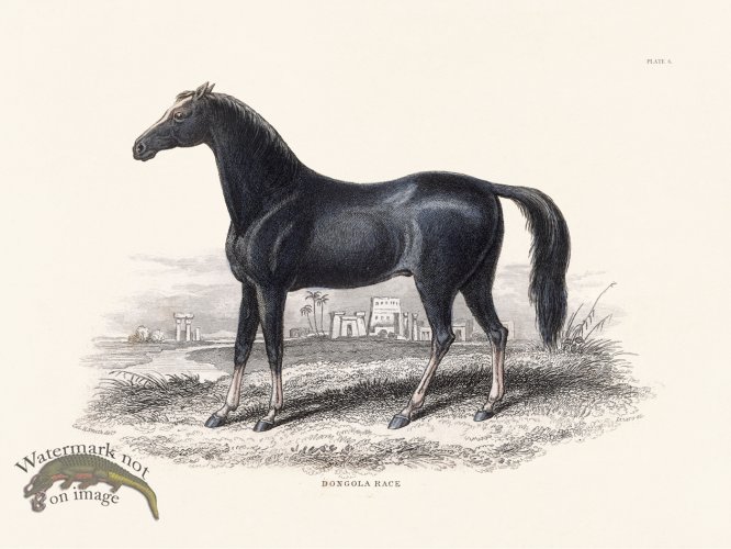 (image for) Jar Horse 06