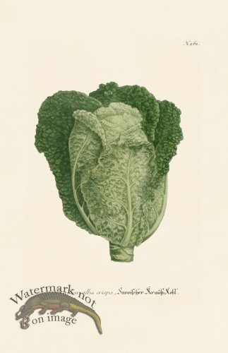 (image for) Weinmann PL 261