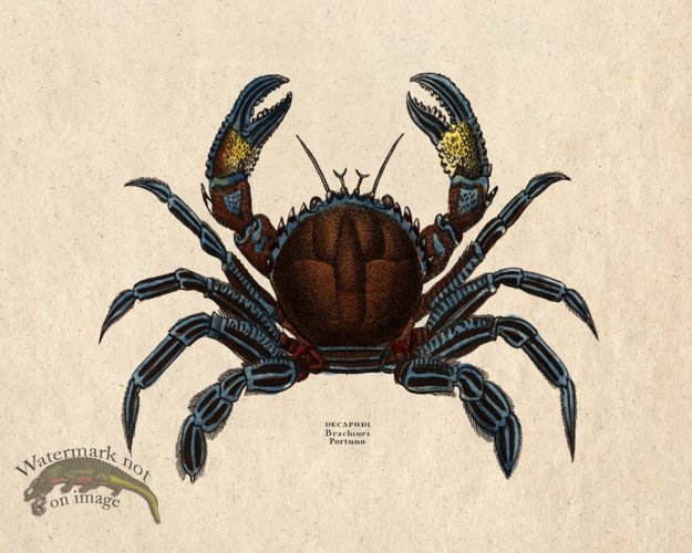 (image for) Sand_Soldier_05