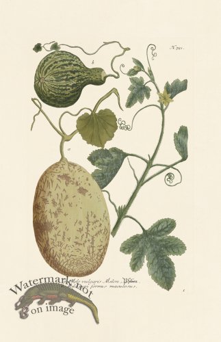 (image for) Weinmann PL 721