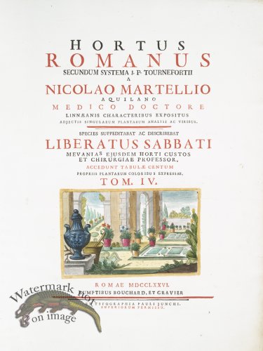 (image for) Bonelli 106