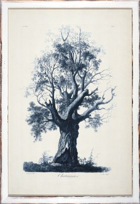 Blue Trees in Distressed White 06