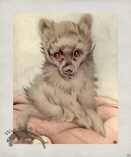 (image for) Puppy Dog 01