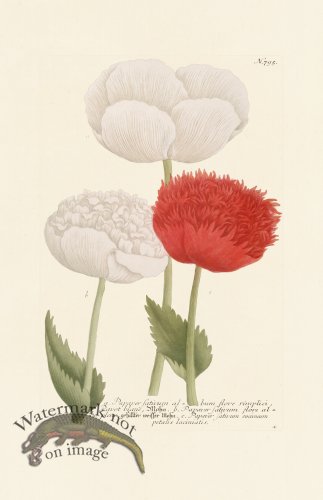 (image for) Weinmann PL 795