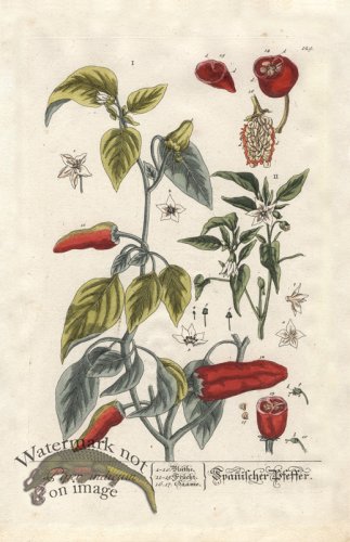 (image for) Blackwell GE 129