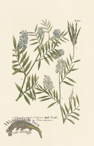 (image for) Weinmann PL 528