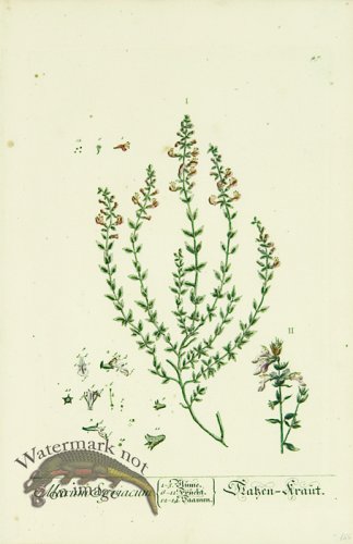 (image for) Blackwell German 254