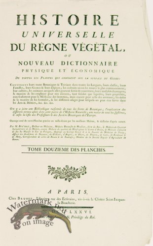 (image for) Buchoz Bot title