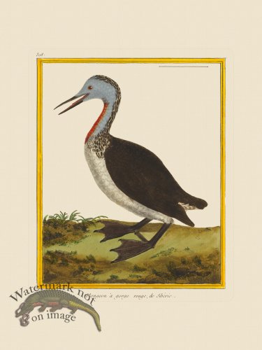 (image for) Martinet Bird 308