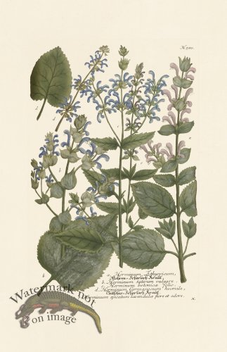 (image for) Weinmann PL 580