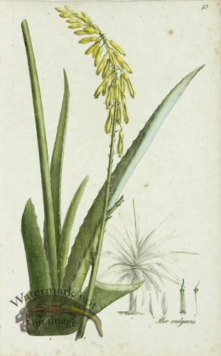 (image for) 1828_Gmp 048