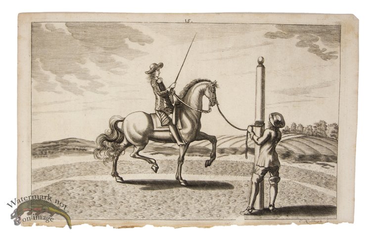 (image for) Winter Horse 02